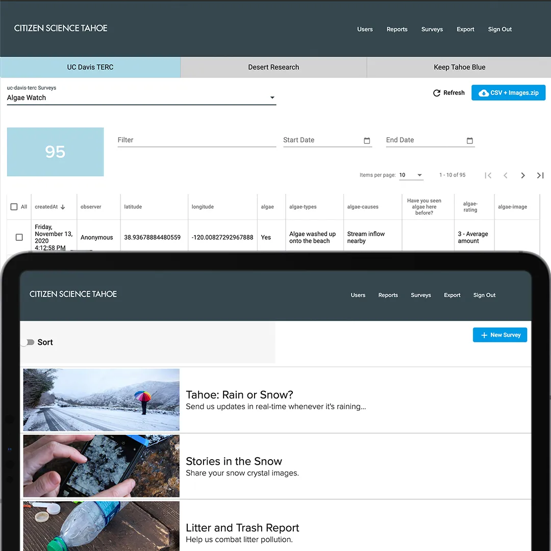 Admin dashboard listing surveys and submitted observations