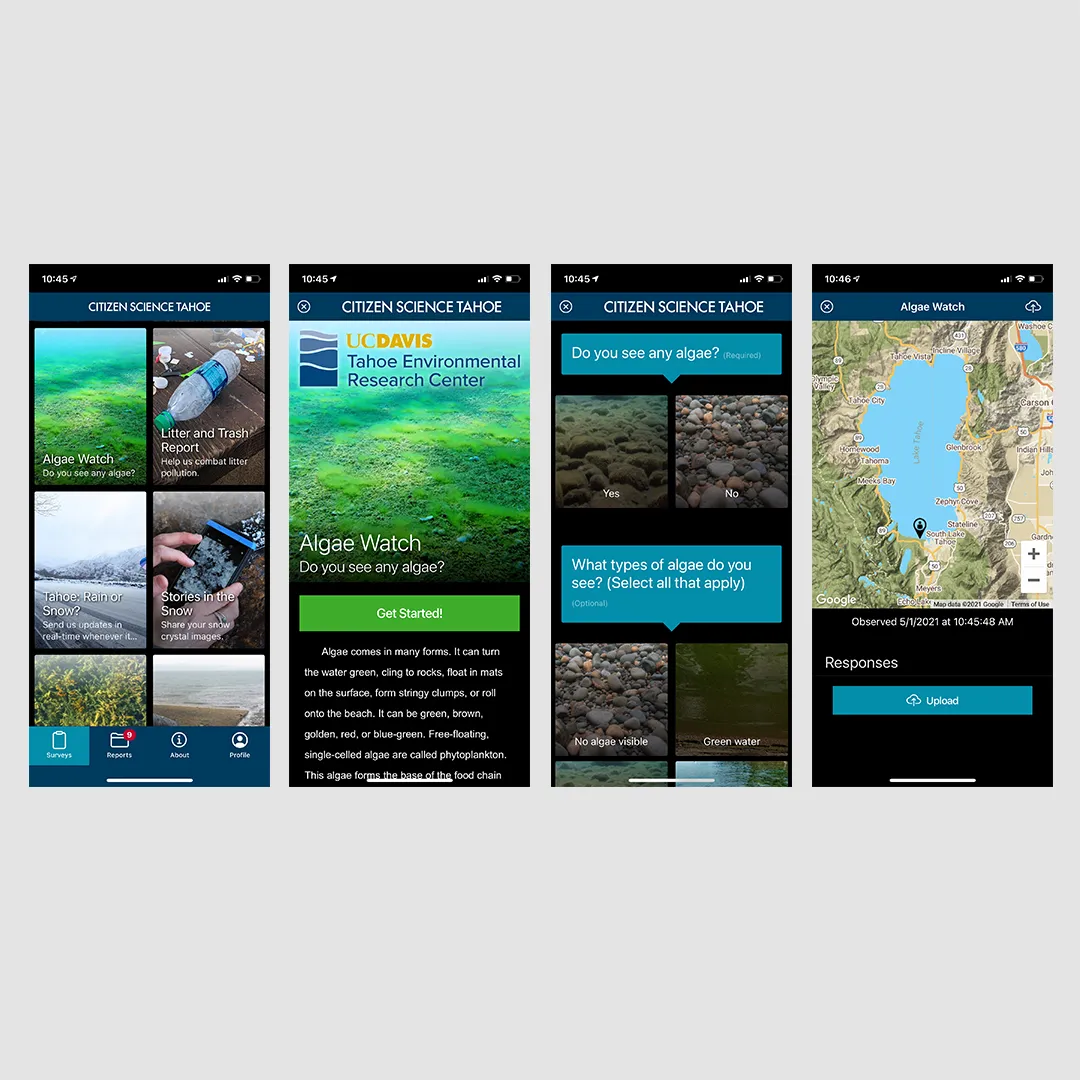 Mobile screens for algae, water quality and survey questions